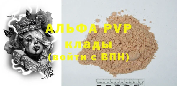 ECSTASY Лагань