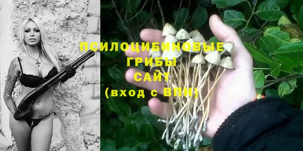 герыч Новосибирск