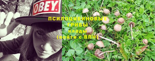 ALPHA-PVP Кулебаки