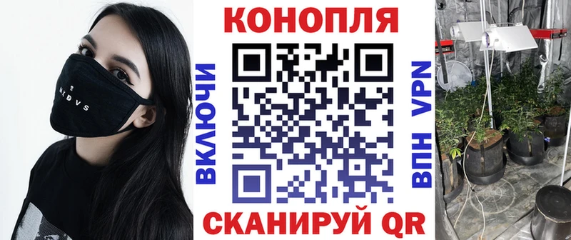 Бошки Шишки тримм  hydra ССЫЛКА  Приволжский  закладки 